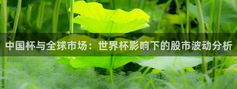 世界杯欧洲区世预赛赛程：中国杯与全球市场：世界杯影响下的股市波动分析