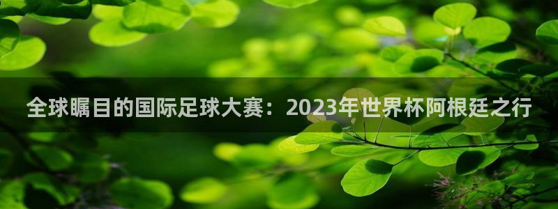 2026世界杯亚洲区预选赛：全球瞩目的国际足球大赛：2023年世界杯阿根廷之行