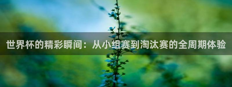 西超杯直播：世界杯的精彩瞬间：从小组赛到淘汰赛的全周期体验