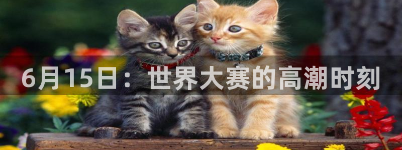 2026足球世界杯赛程时间表：6月15日：世界大赛的高潮时刻