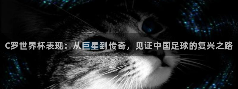 欧洲世界杯预选赛赛程：C罗世界杯表现：从巨星到传奇，见证中国足球的复兴之路