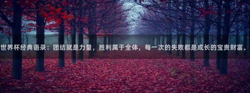 2026世界杯直播：世界杯经典语录：团结就是力量，胜利属于全体，每一次的失败都是成长的宝贵财富。