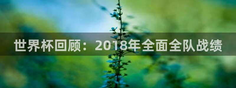 英格兰联赛杯直播：世界杯回顾：2018年全面全队战绩