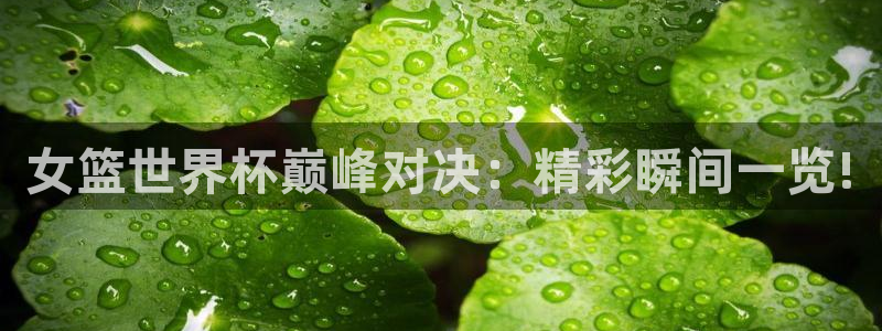 今年的世界杯：女篮世界杯巅峰对决：精彩瞬间一览!
