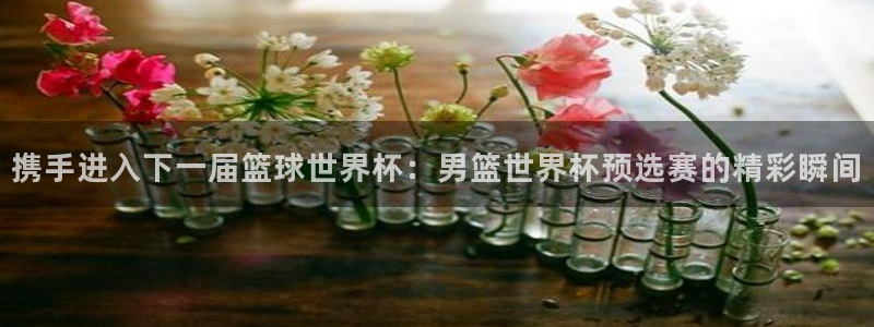2026世预赛赛程表：携手进入下一届篮球世界杯：男篮世界杯预选赛的精彩瞬间
