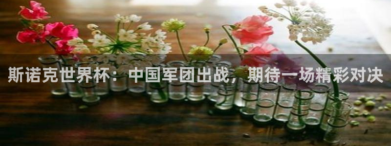世界杯足球直播：斯诺克世界杯：中国军团出战，期待一场精彩对决